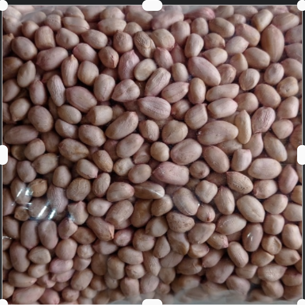 White / Kabuli Chana 5kg